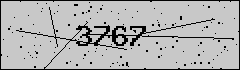 验证码